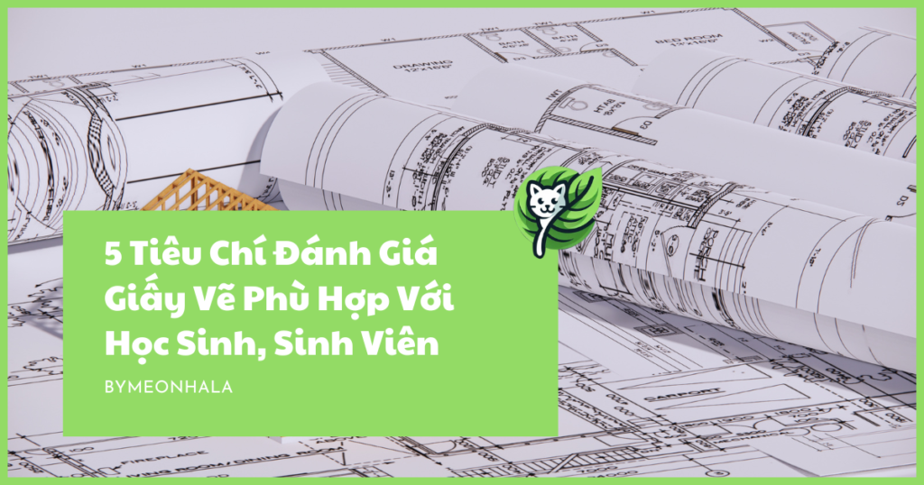 giấy vẽ cho sinh viên